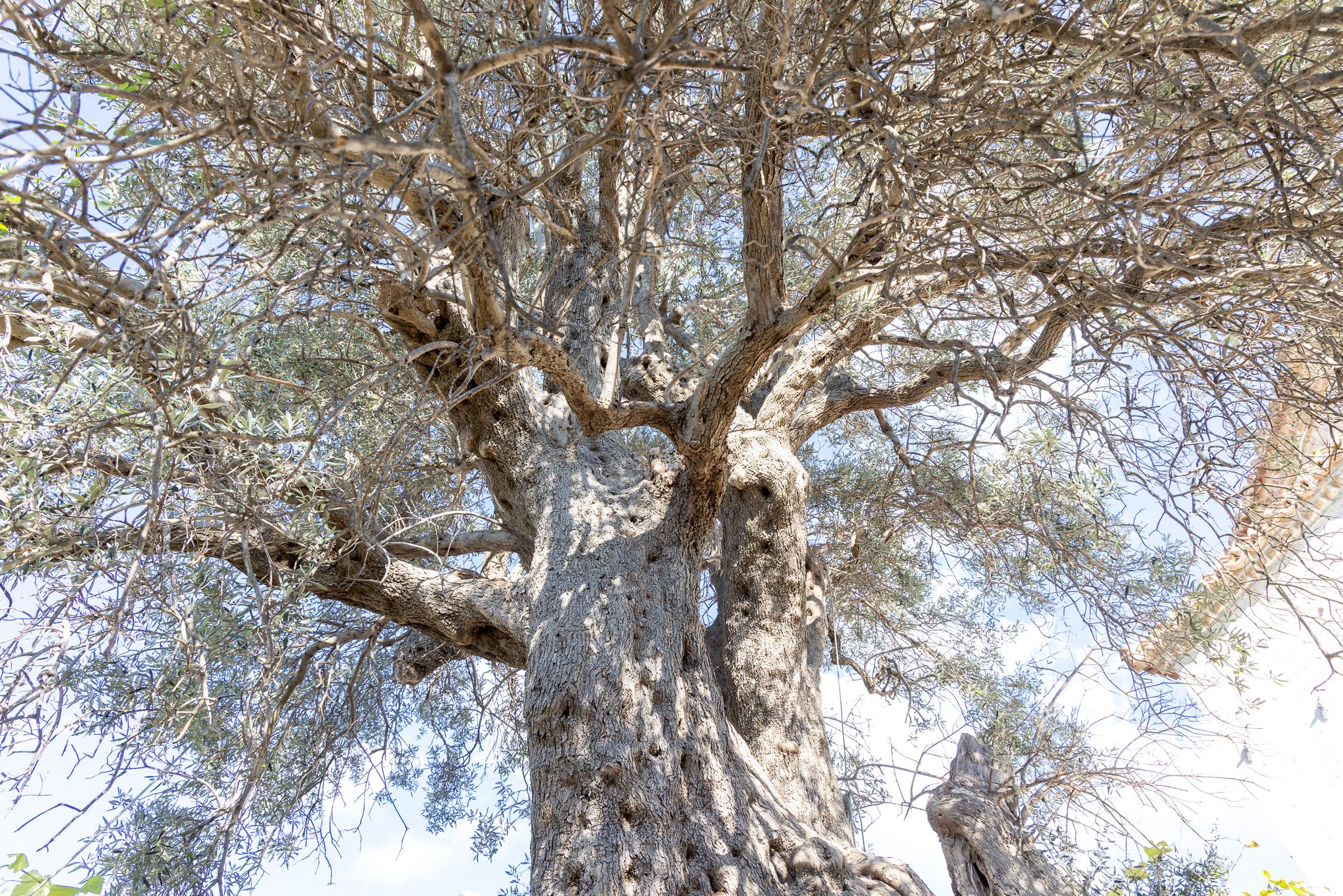 Krujë 山坡上遺落的星月，靜靜守護數百年的蘇菲派修道院 — Dollma Tekke