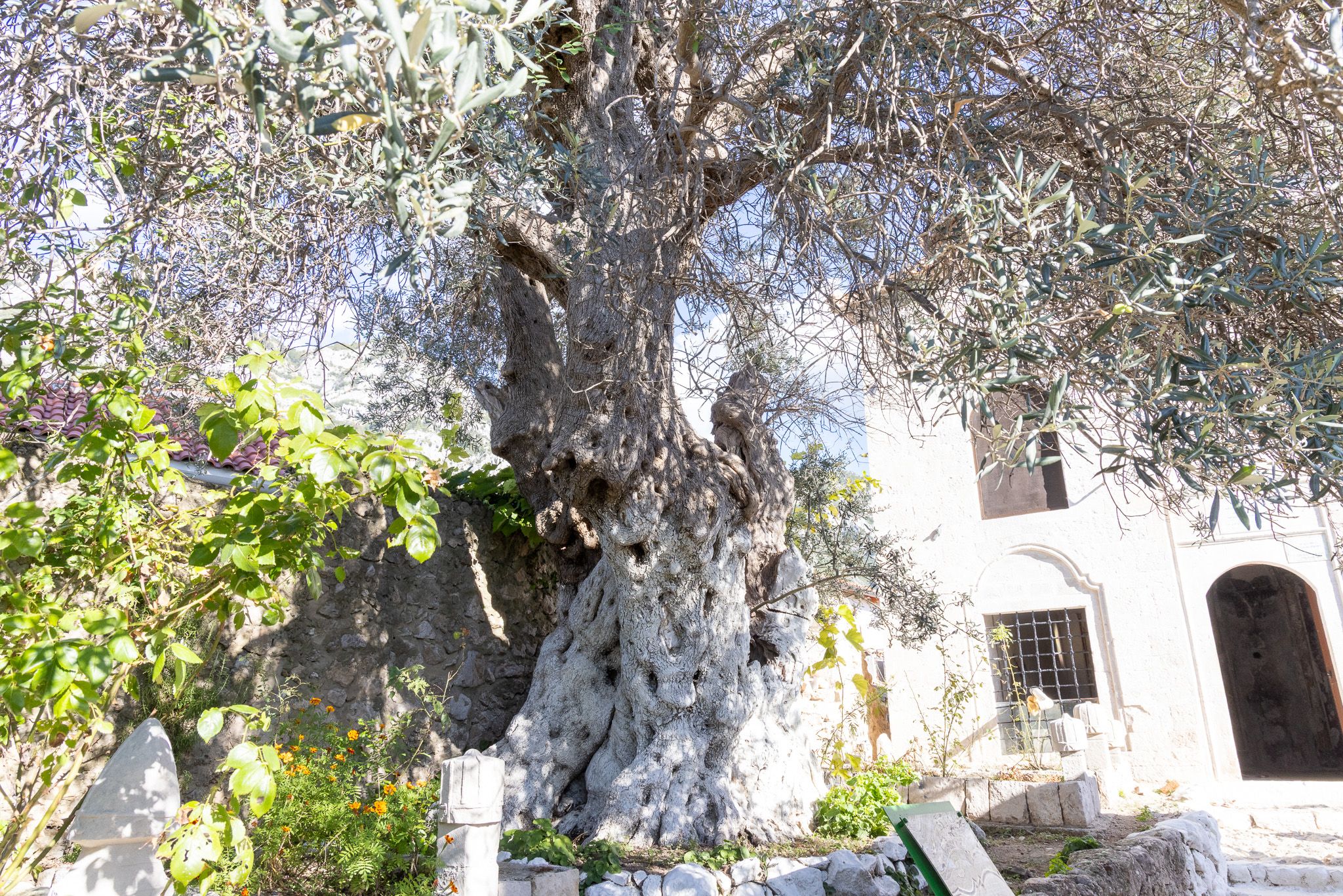 Krujë 山坡上遺落的星月，靜靜守護數百年的蘇菲派修道院 — Dollma Tekke