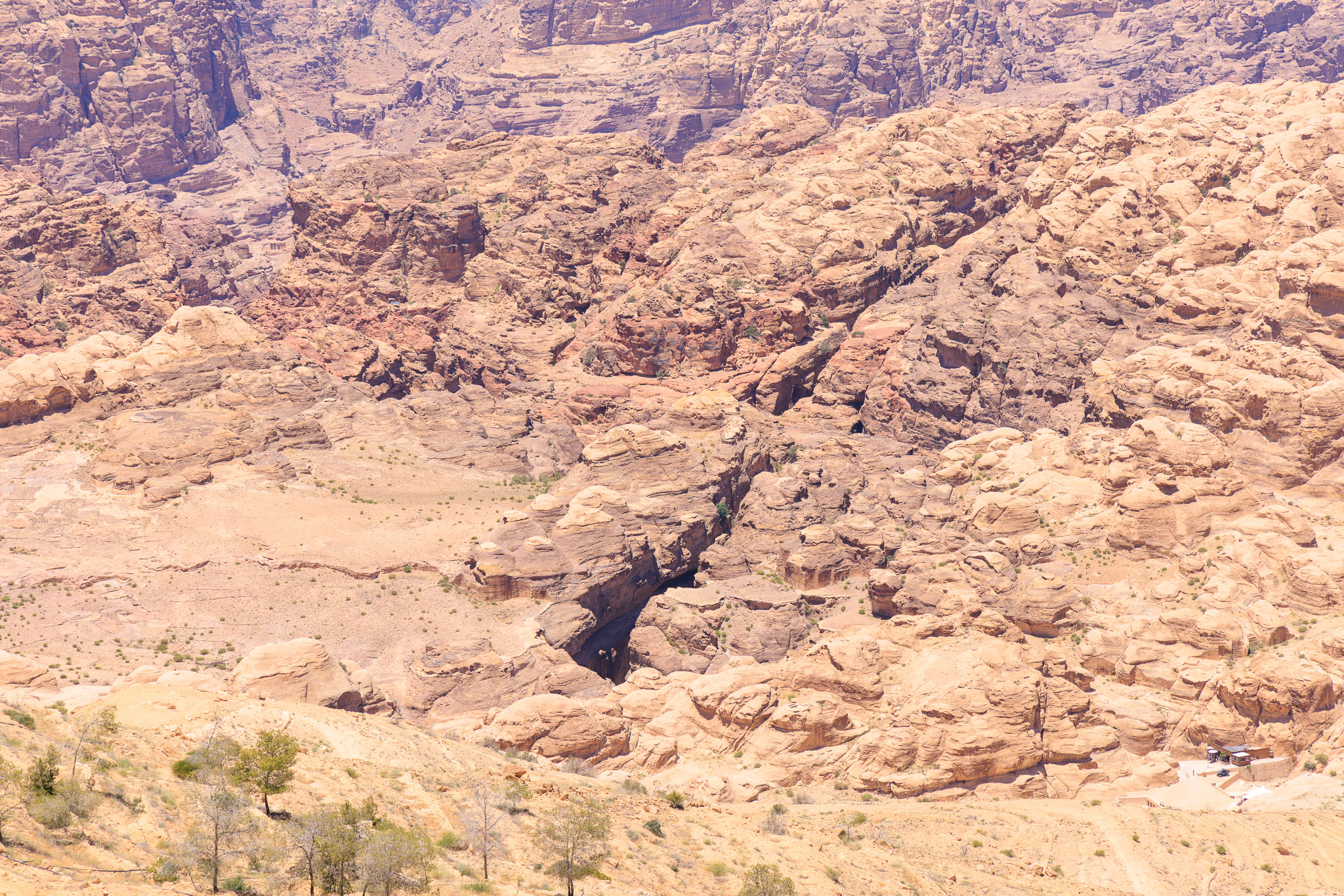 從高處俯瞰 Petra 岩石峽谷間蜿蜒的蛇道